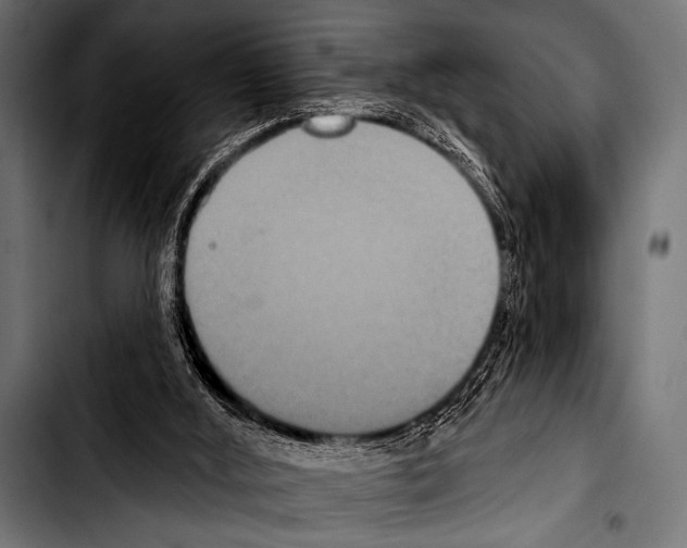 X0000103320012200810171412
