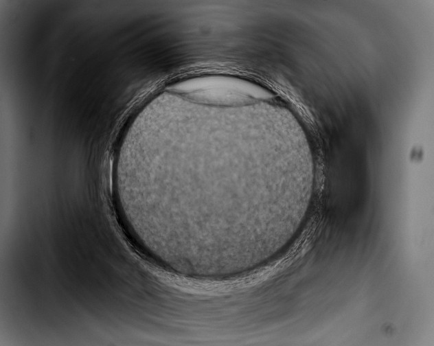 X0000103320014200810171412