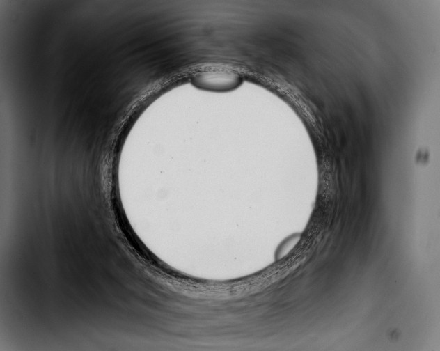 X0000103320015200810171412