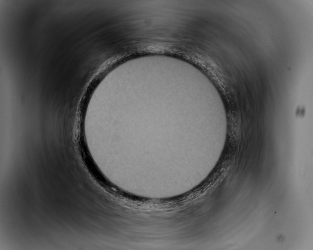 X0000103320016200810171412