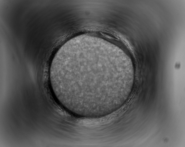 X0000103320017200810171412