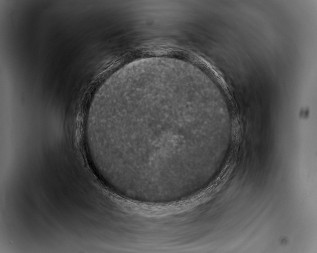 X0000103320018200810171412