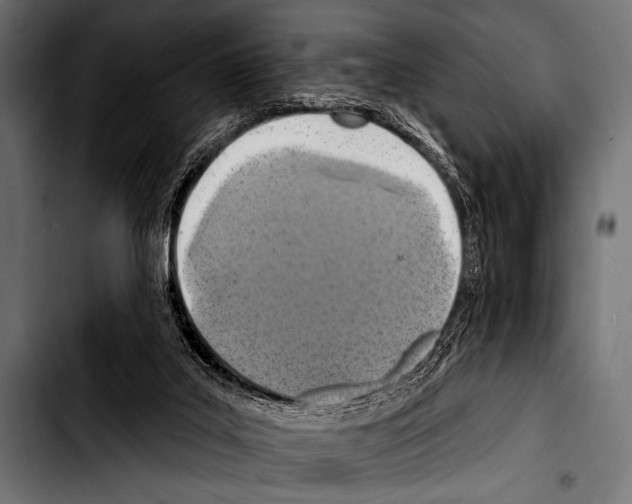 X0000103320019200810171412