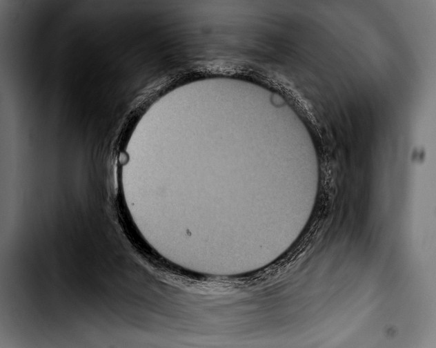 X0000103320020200810171412