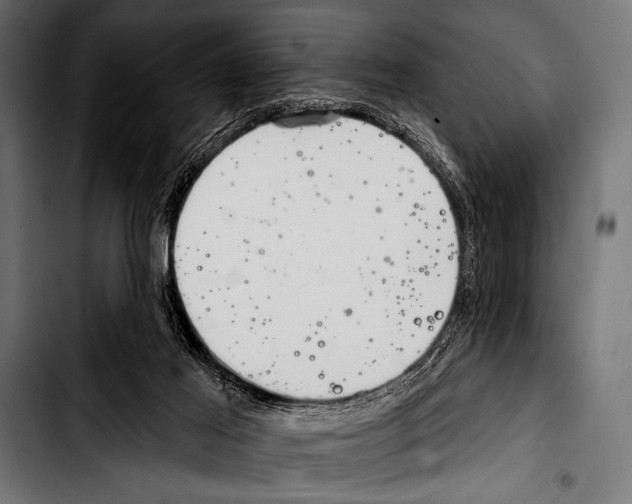 X0000103320021200810171412