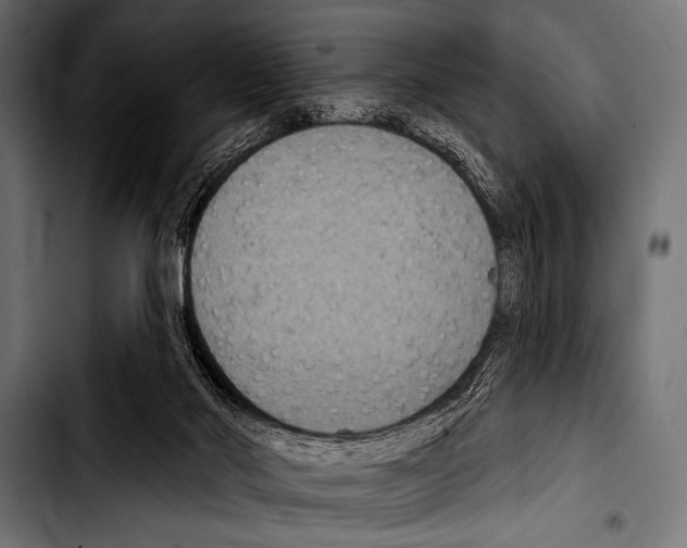 X0000103320022200810171412
