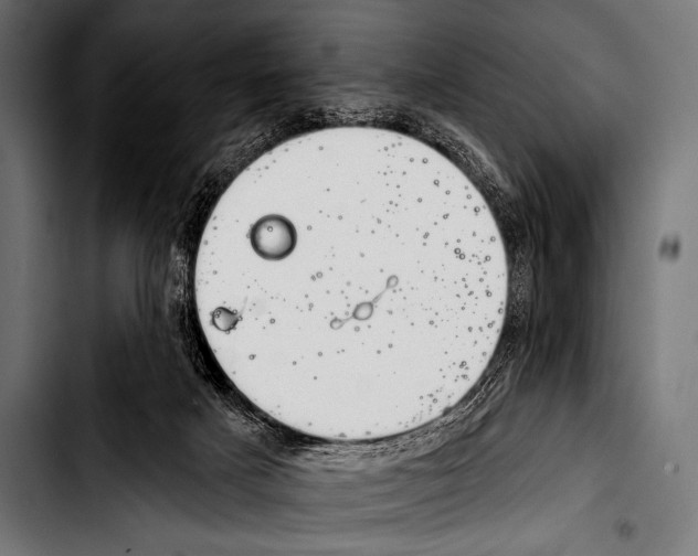 X0000103320025200810171411