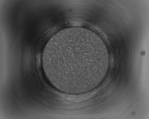 X0000103320026200810171411