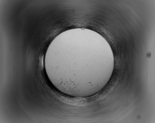 X0000103320028200810171411