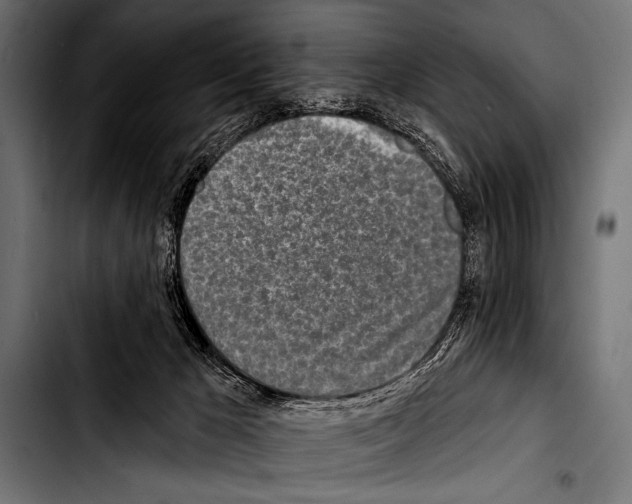 X0000103320029200810171411