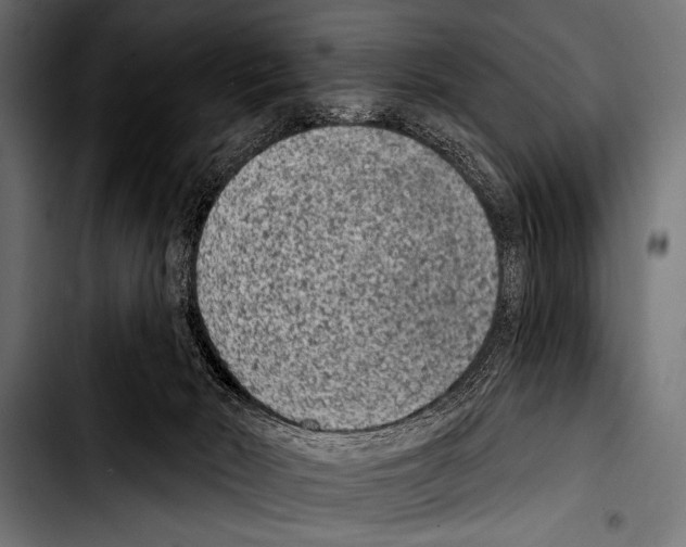 X0000103320030200810171411