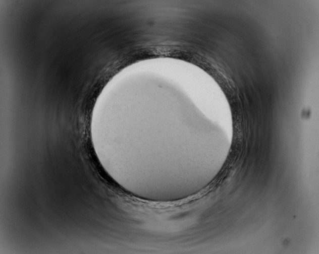 X0000103320031200810171411