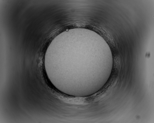 X0000103320032200810171411