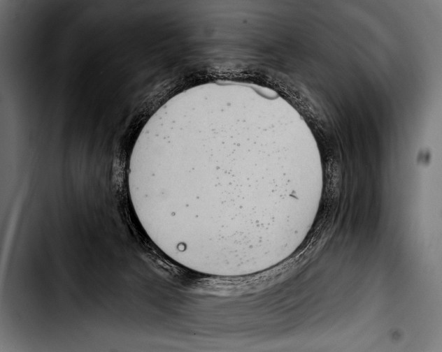X0000103320033200810171411