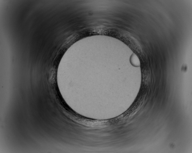 X0000103320036200810171411