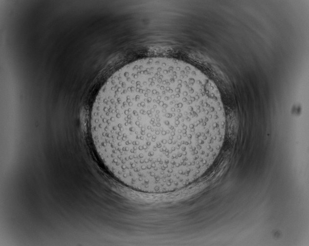 X0000103320038200810171411