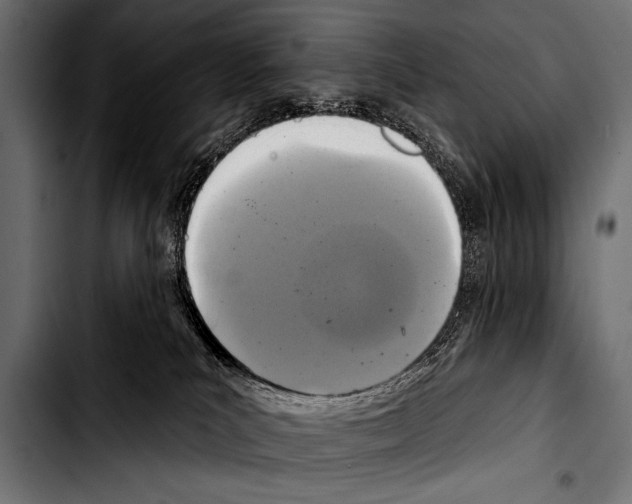 X0000103320039200810171411