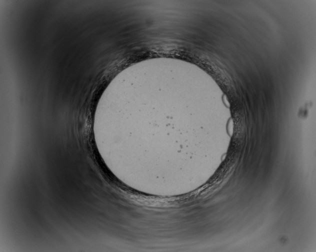 X0000103320040200810171411