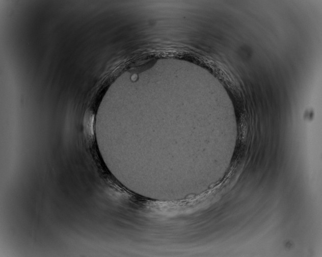 X0000103320041200810171411