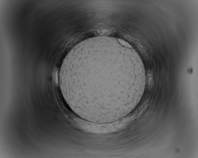 X0000103320042200810171411