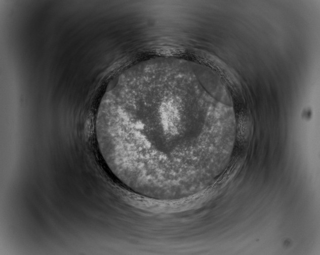 X0000103320043200810171411