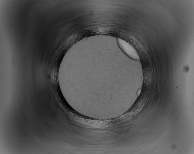 X0000103320044200810171411