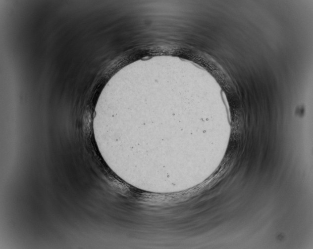X0000103320045200810171411