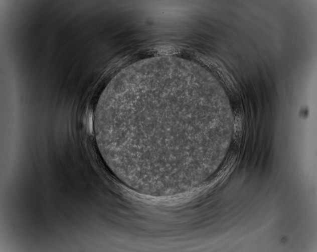 X0000103320046200810171411