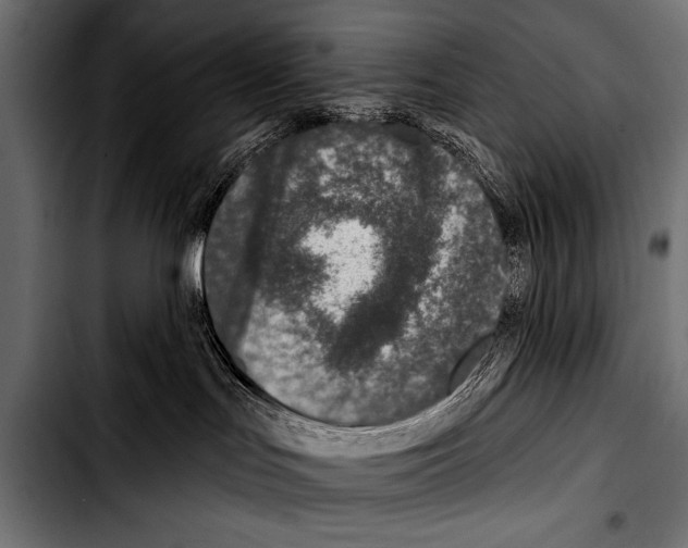 X0000103320047200810171411