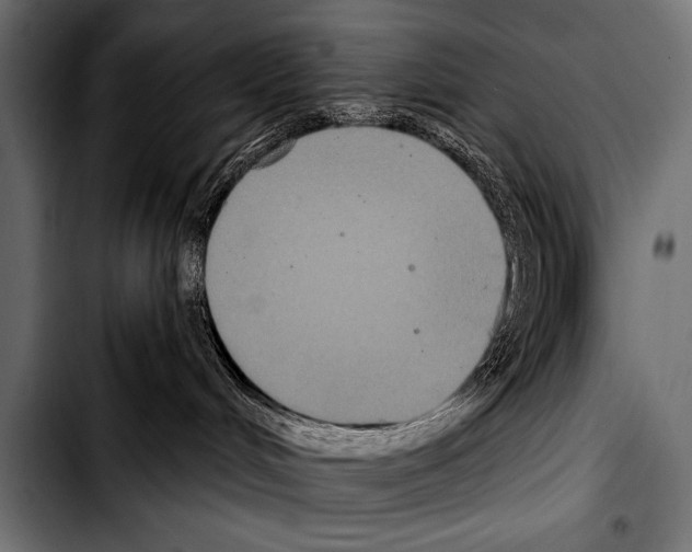 X0000103320048200810171411