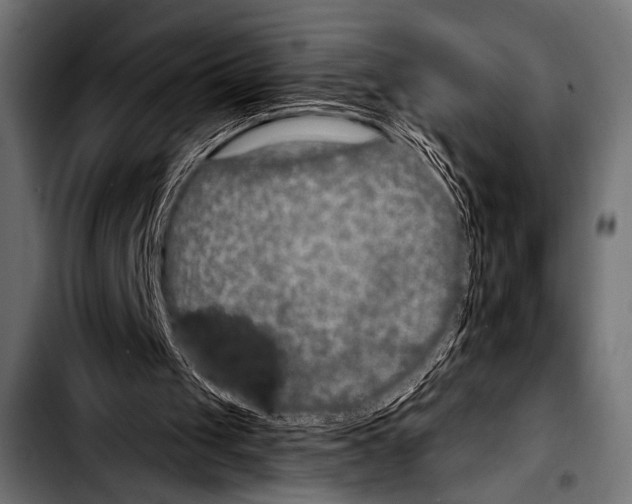 X0000103320049200810171410