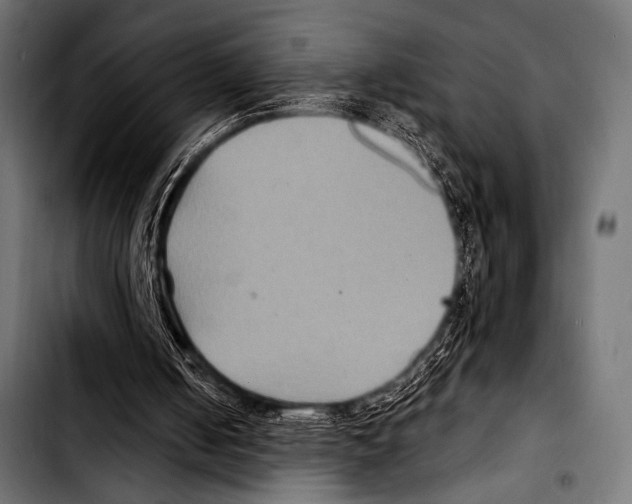 X0000103320050200810171411