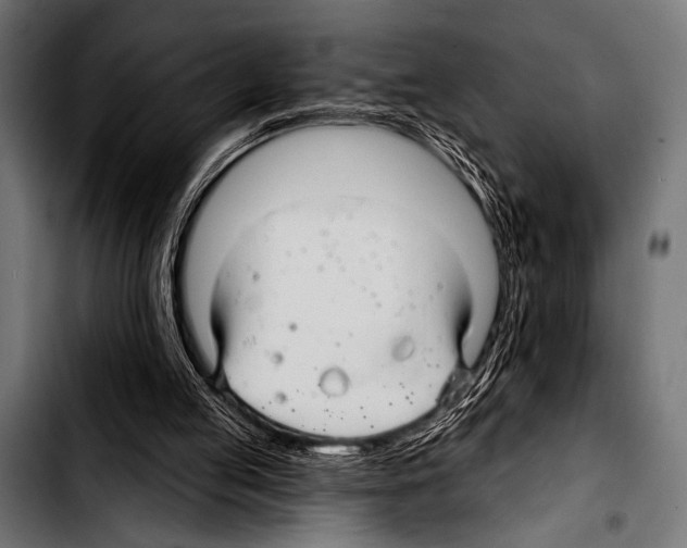 X0000103320053200810171411