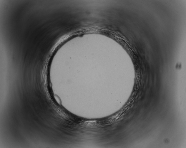X0000103320054200810171411