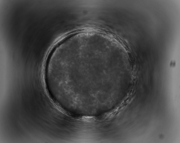 X0000103320055200810171411