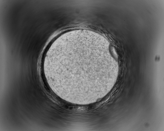 X0000103320056200810171411
