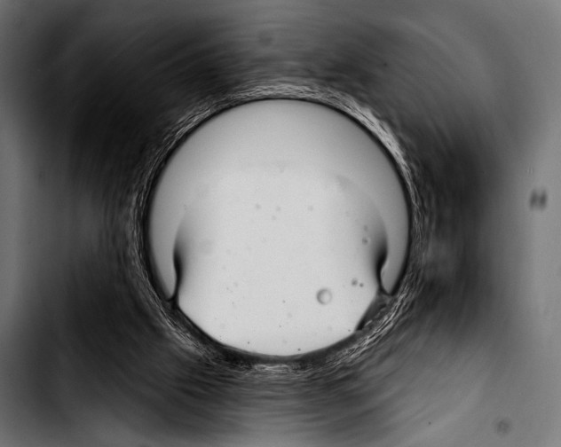 X0000103320057200810171411