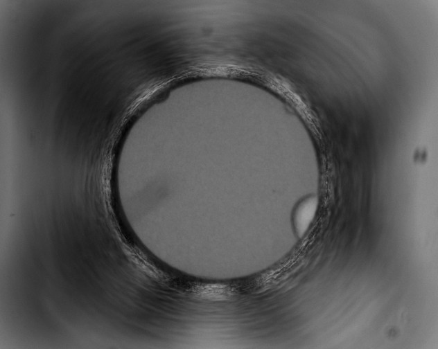 X0000103320058200810171411