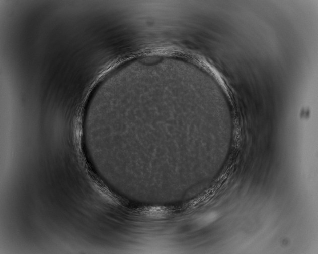 X0000103320059200810171411