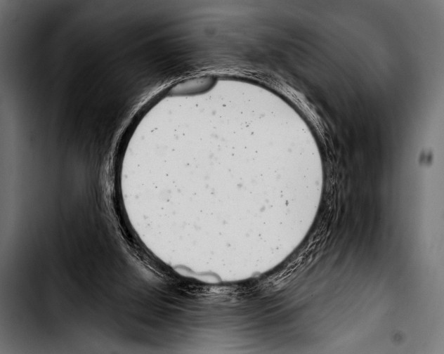 X0000103320060200810171411