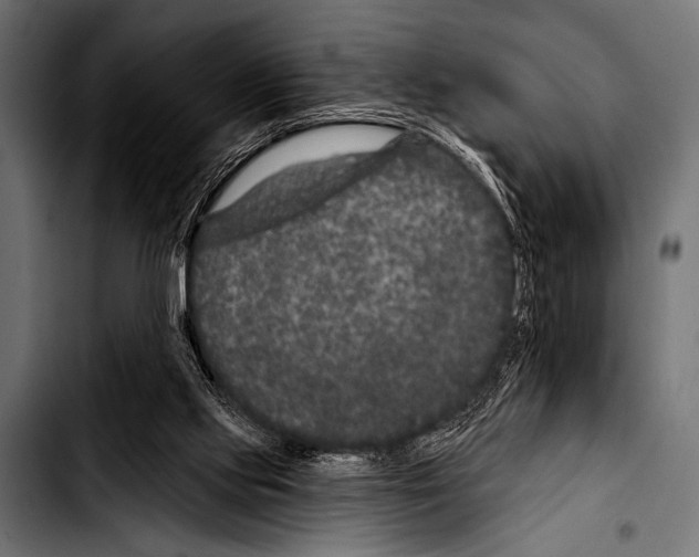 X0000103320061200810171411