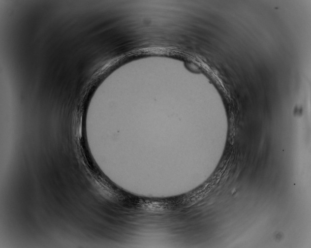 X0000103320062200810171411