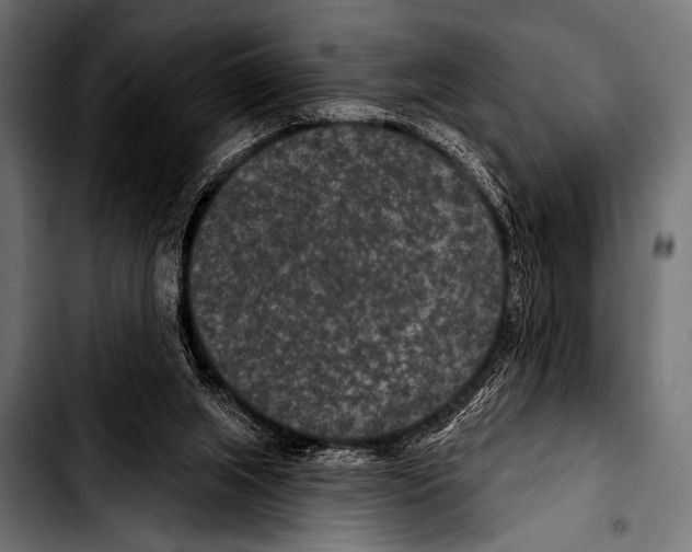 X0000103320063200810171411