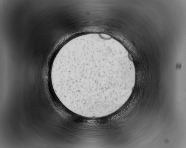 X0000103320064200810171411