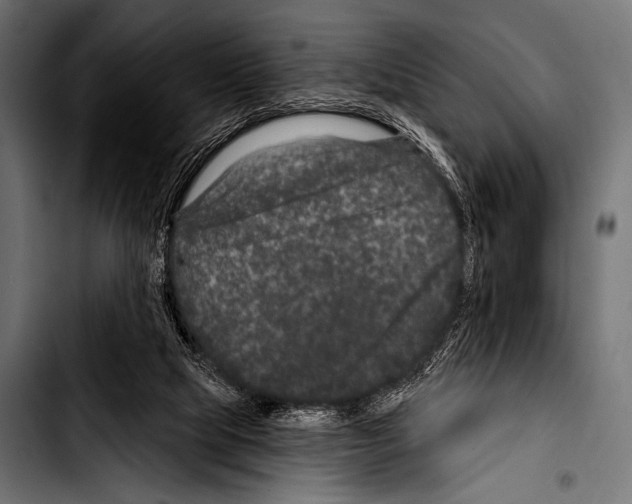 X0000103320065200810171411
