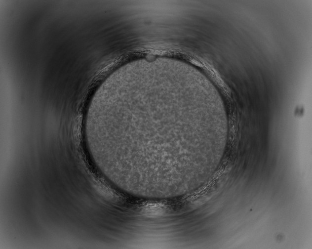 X0000103320066200810171411