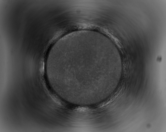 X0000103320067200810171411