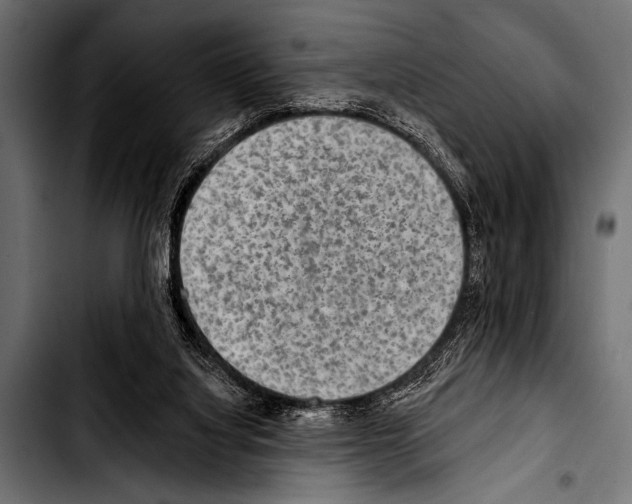 X0000103320068200810171411