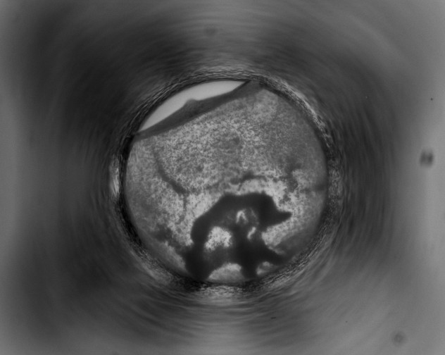 X0000103320069200810171411