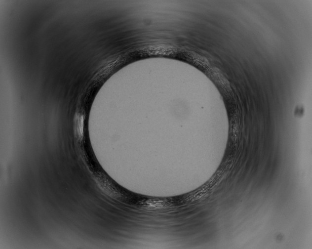 X0000103320070200810171411